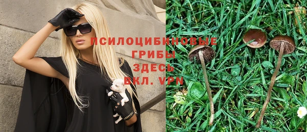 крисы Арсеньев