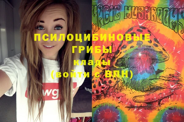 крисы Арсеньев